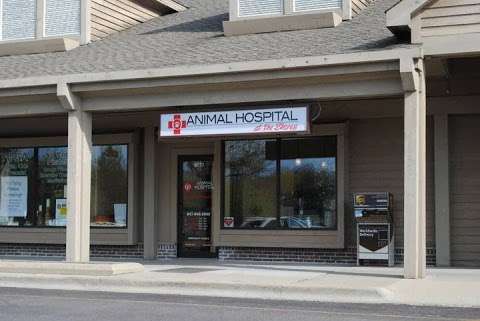 Animal Hospital At The Shores