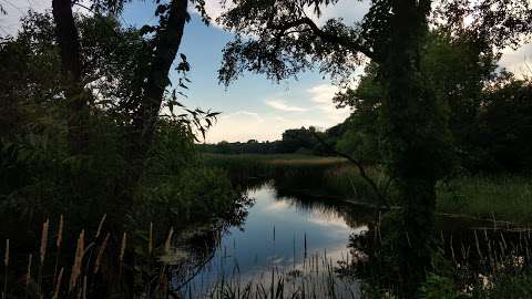 Tower Lakes Fen Nature Preserve